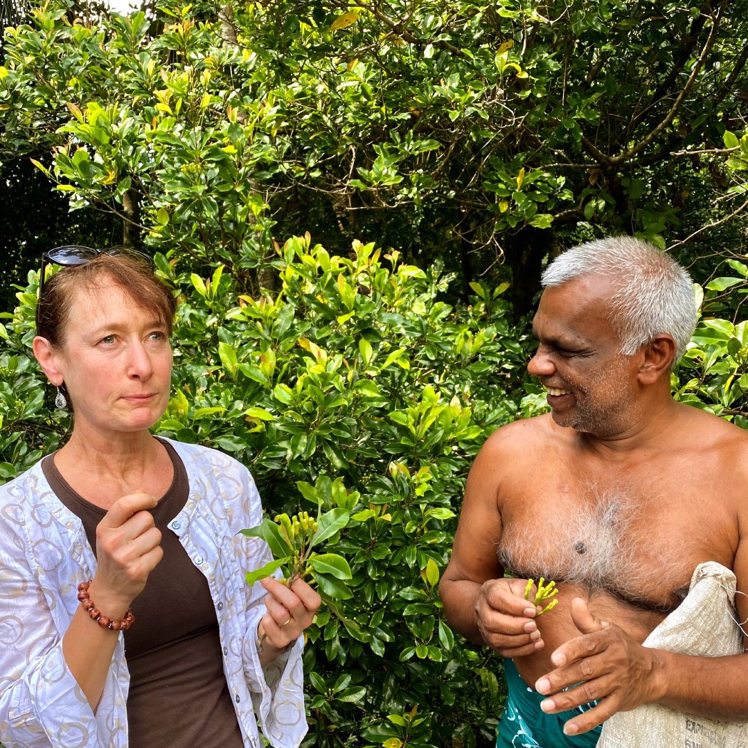 Rencontre avec un producteur de girofle