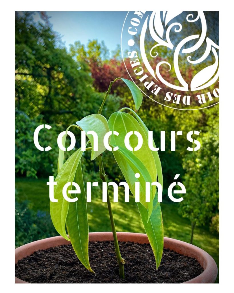 RÉSULTAT DU CONCOURS 

Anne bouture tout… et vous avez été nombreux à reconnaît…