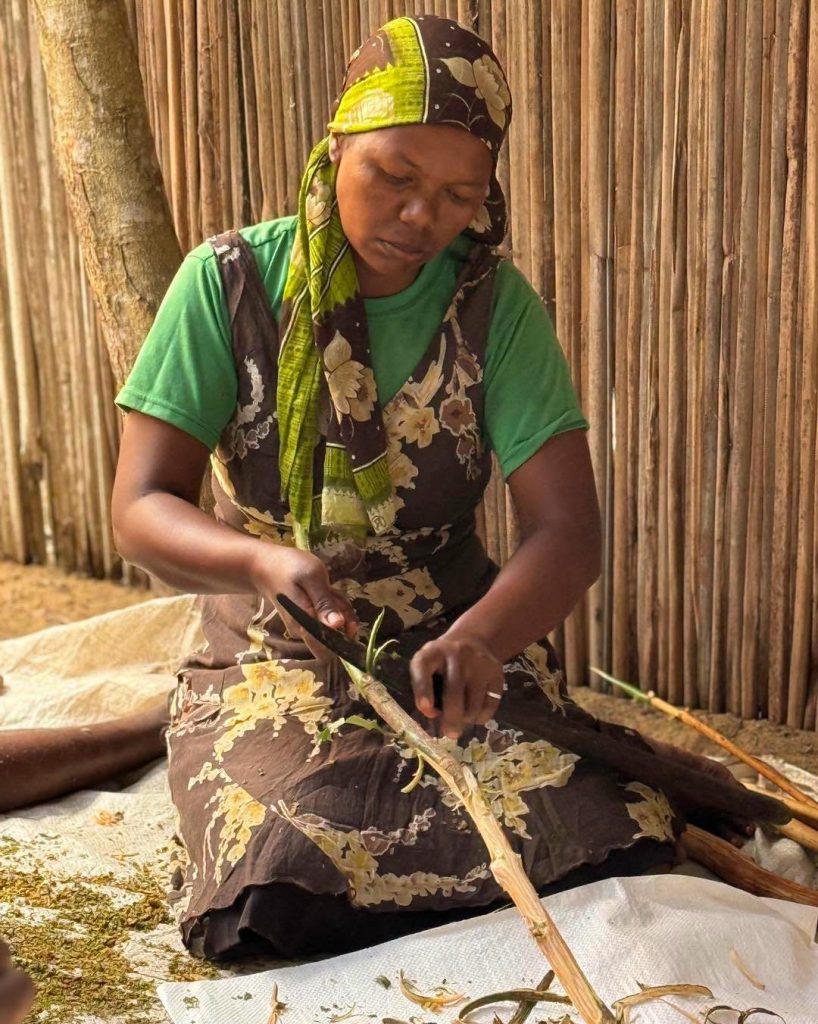 Une rencontre chaleureuse avec deux producteurs de cannelle bio de Madagascar
À …